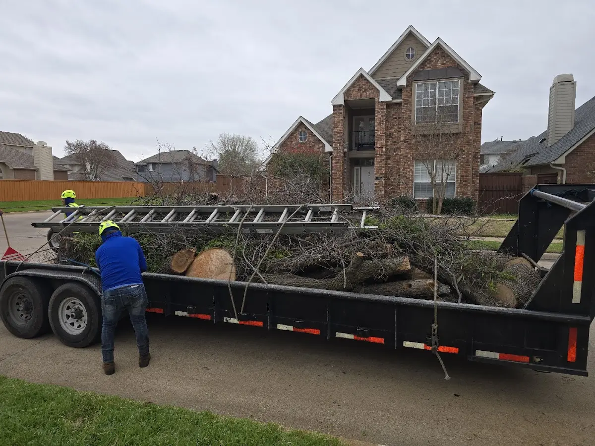 Expert Lot Clearing with proper safety equipment in Esko